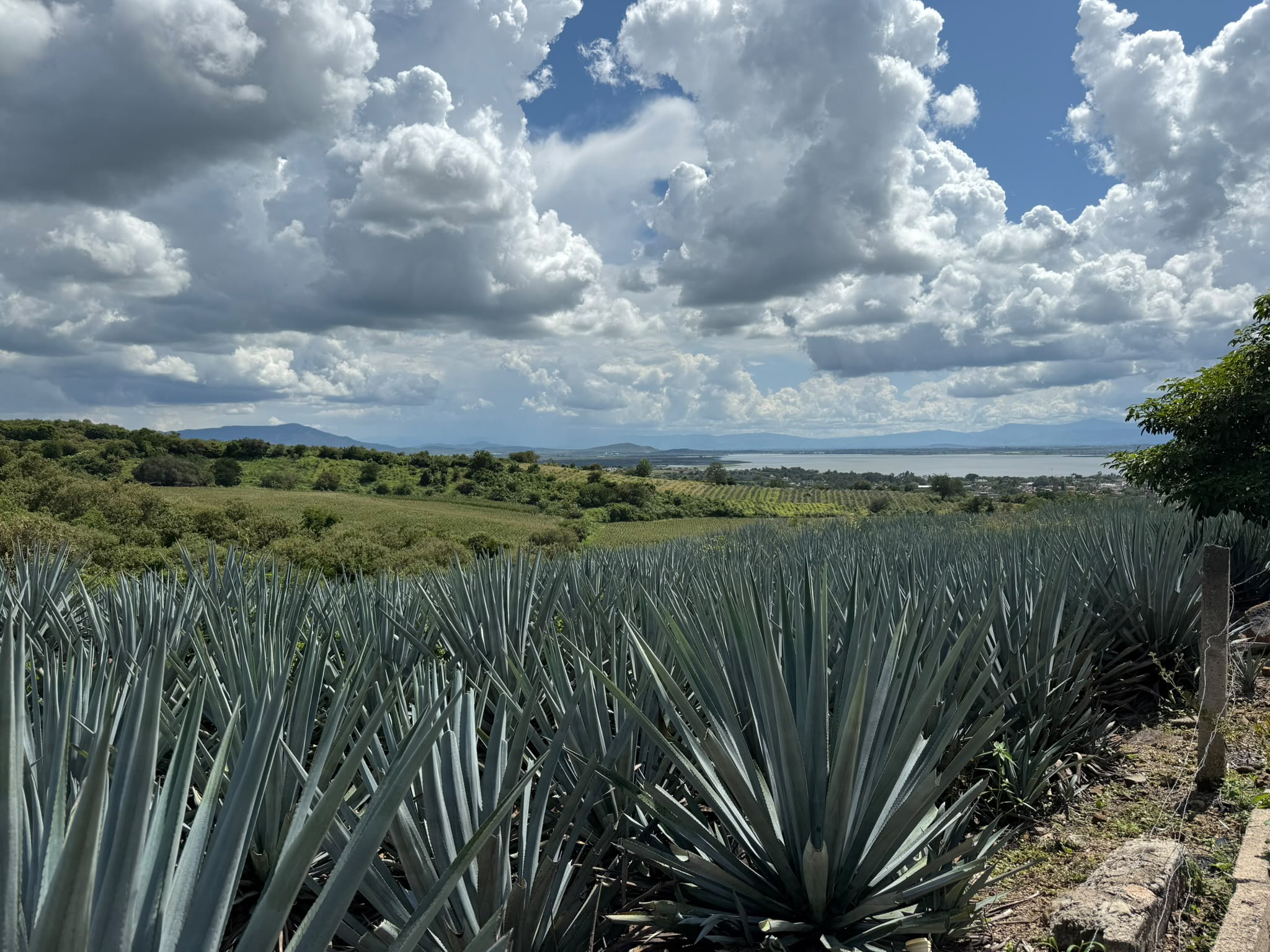 A 17th-century agave hacienda, chapel, gardens and spa