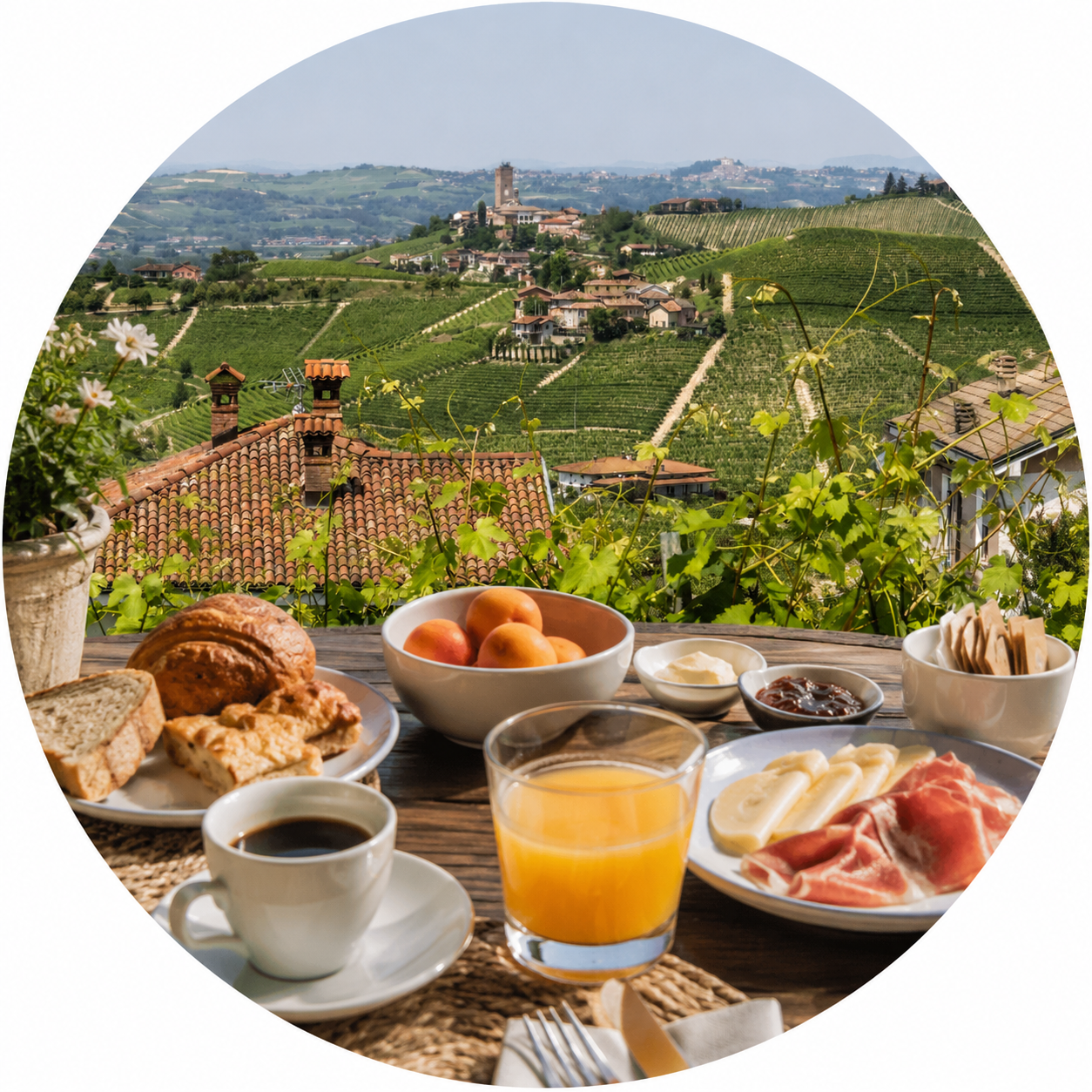 Morning terrace facing the vineyards in the Langhe, Piedmont
