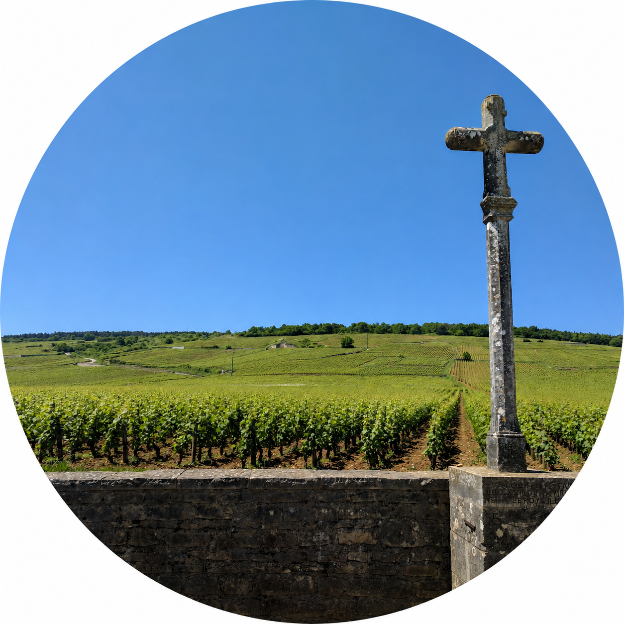 Black truffle lunch near Vosne-Romanee, Burgundy