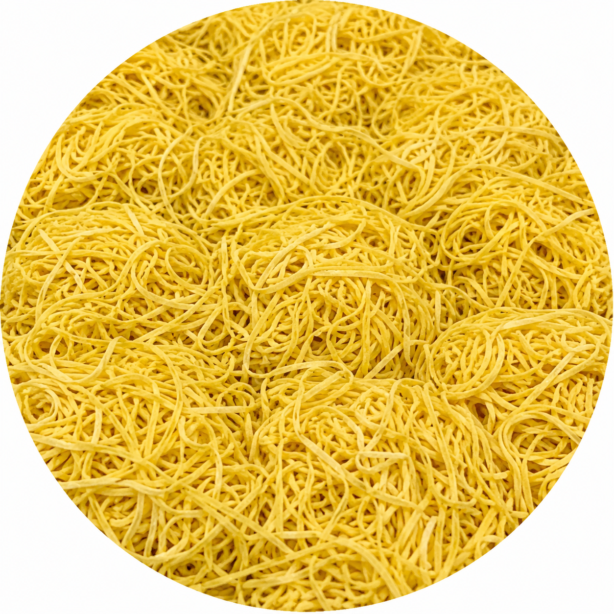A cooking class making tajarin pasta in a Langhe kitchen