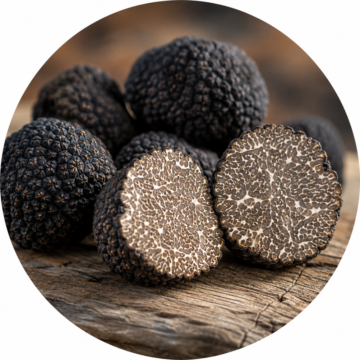 A truffle hunt with a dog in the Umbrian oak woods