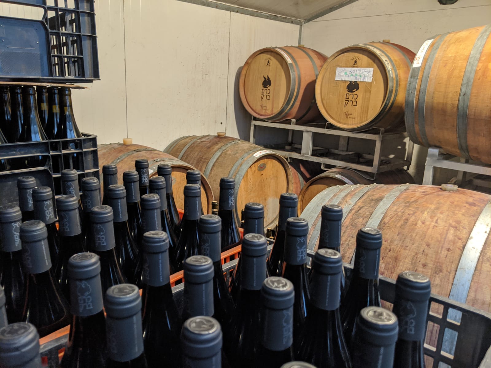 Cabernet from the barrel at a winery on the ridge above Jerusalem