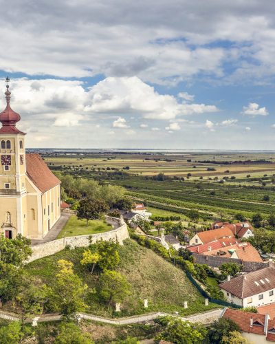 Austrian Wine WSNA