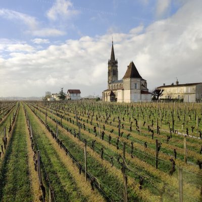 Bordeaux-Vineyard-scaled-1-qyet163i0xzp7bze4nm7l6qd6st13g7zzfdps35j8g