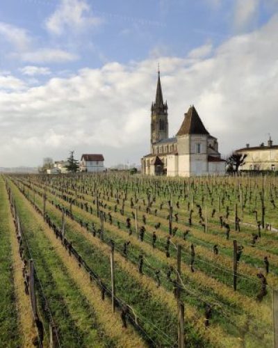 Bordeaux-Vineyard-scaled-1-qyet163i0xzp7bze4nm7l6qd6st13g7zzfdps35j8g