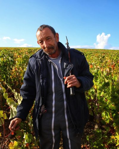 Champagne vineyards 2 - Credit David Silverman DPSimages