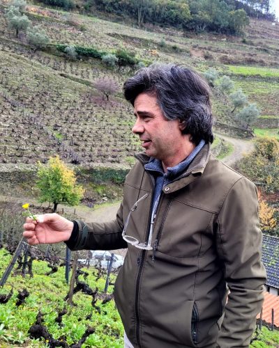 Douro winemaker