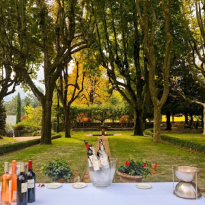 Provence Winery