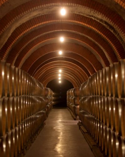 Ribera del Duero - Protos cellar 3