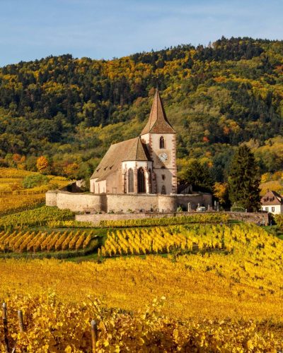 Sentier viticole des grands crus - ©Pamella RODRIGUES 12