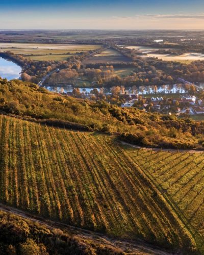 Tokaj, Hungary - Aerial panoramic view of the world famous Hungarian vineyards of Tokaj wine region with town of Tokaj, River Tisza and golden sunrise at background on a warm autumn morning