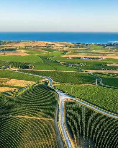 Aerial shot of the vineyards near Menfi in southwestern Sicily, Italy