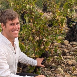 South Rhone chateauneuf de pape