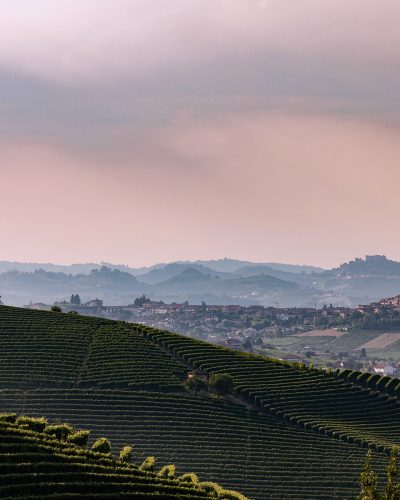 ‏‏le-langhe - עותק