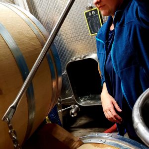 The Châteauneuf grower, Rhone